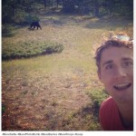 bear