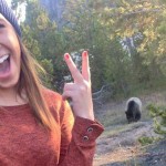 bear3