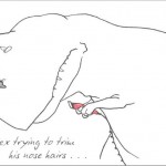 trex5