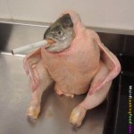 weird-looking-food-071